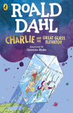 CHARLIE GREAT GLASS ELEVATOR