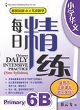 Primary 6B Chinese Daily Intensive Practice 华文每日精练
