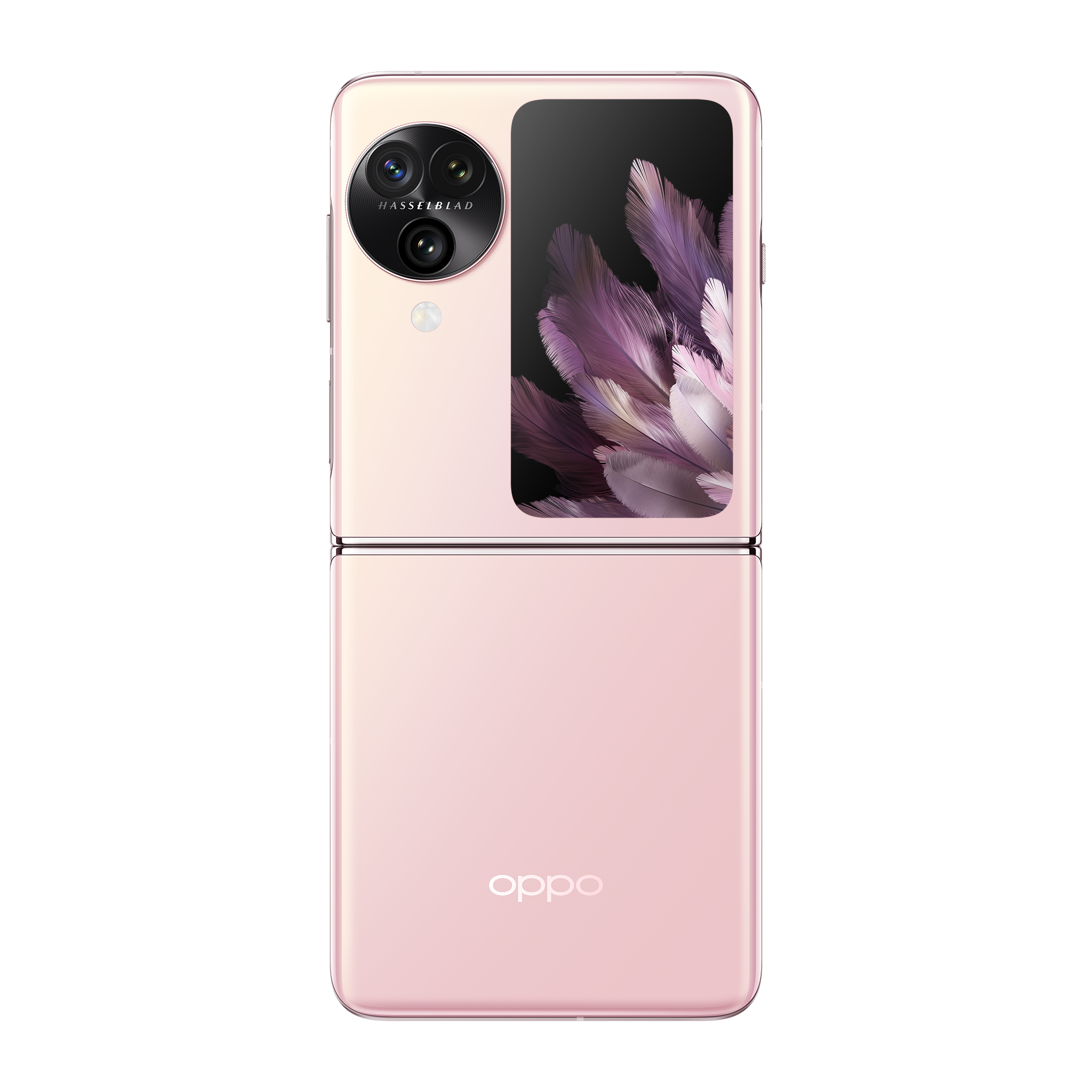 OPPO Find N3 Flip 5G (12GB RAM+256GB)