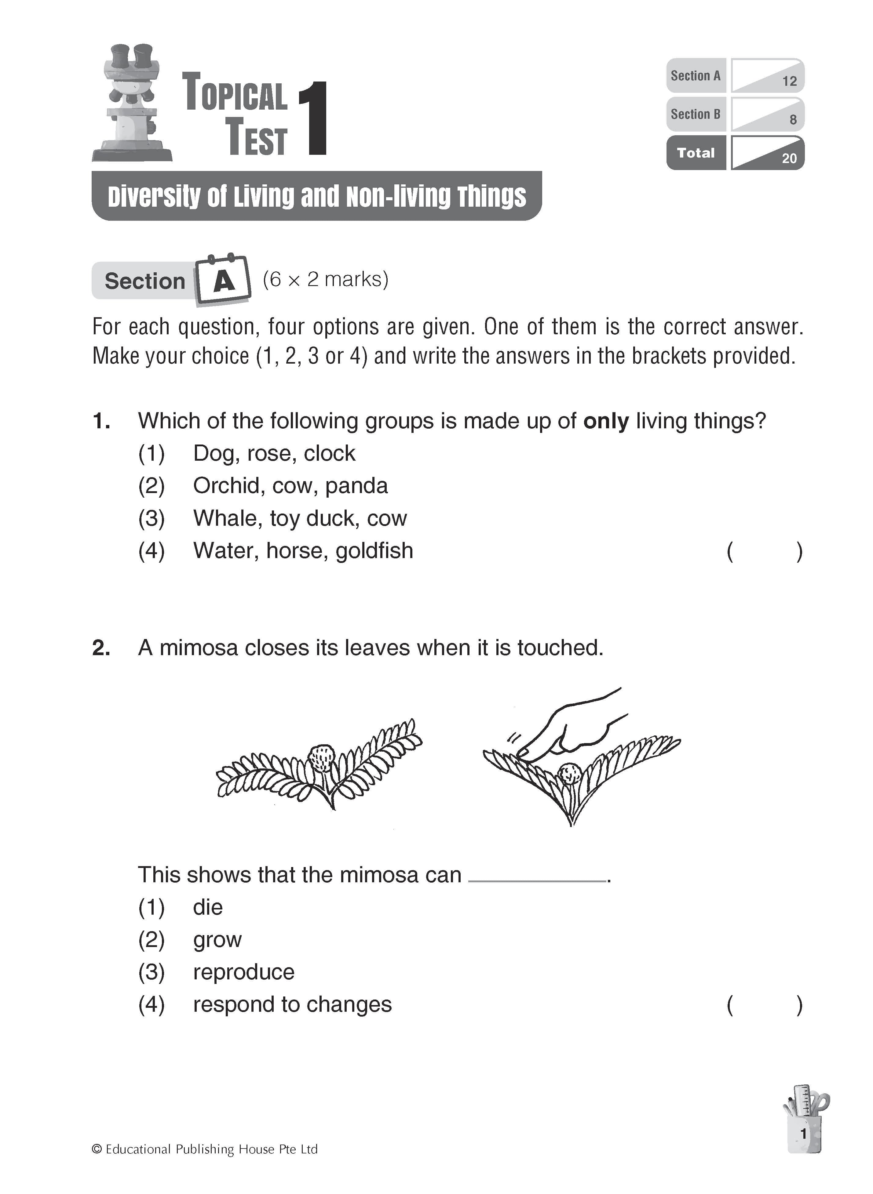 Primary 3 Science Topical and Thematic Tests