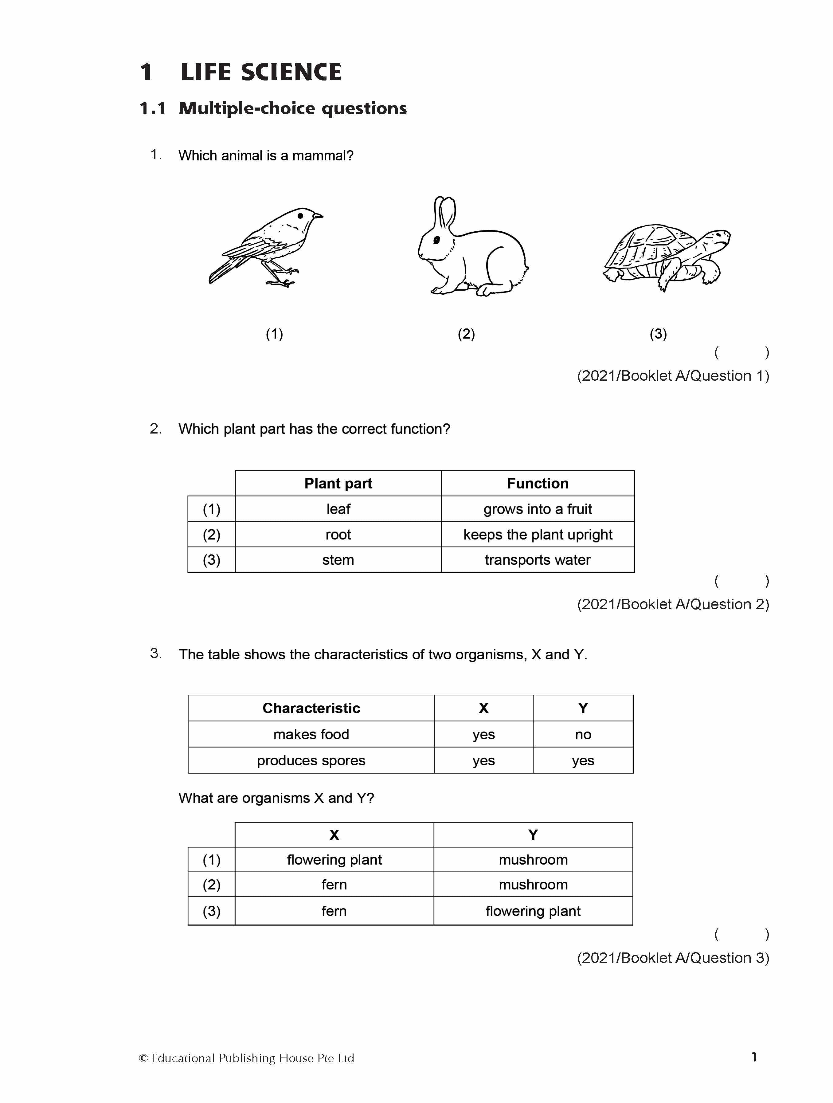 PSLE Foundation Science Exam Q&A 21-23 (Topic)