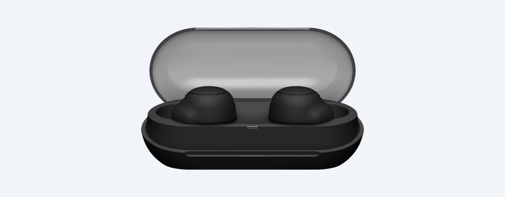 SONY WF-C500 True Wireless Earbuds
