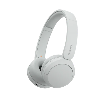 SONY WH-CH520 Bluetooth Headphone